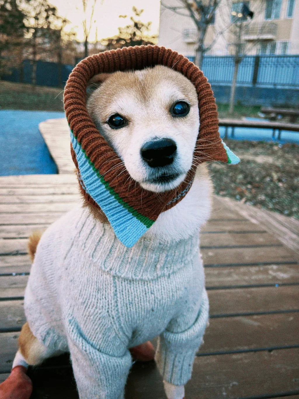 Gentle Dog Series Alpaca-Wool Tweed Pet Sweater